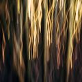 Low Beams album art — streaked light abstract, photo by Robert Clark on Pexels