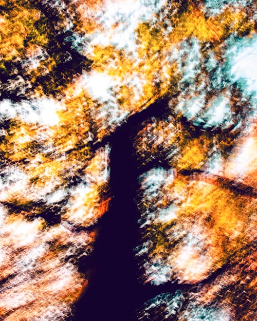 Foto stok gratis abstrak, abstrak musim gugur, abstrak puncak pohon