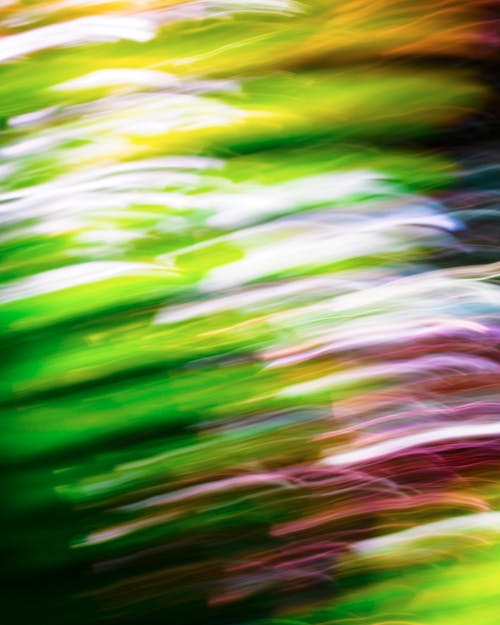 Abstract photograph of green and yellow leaves