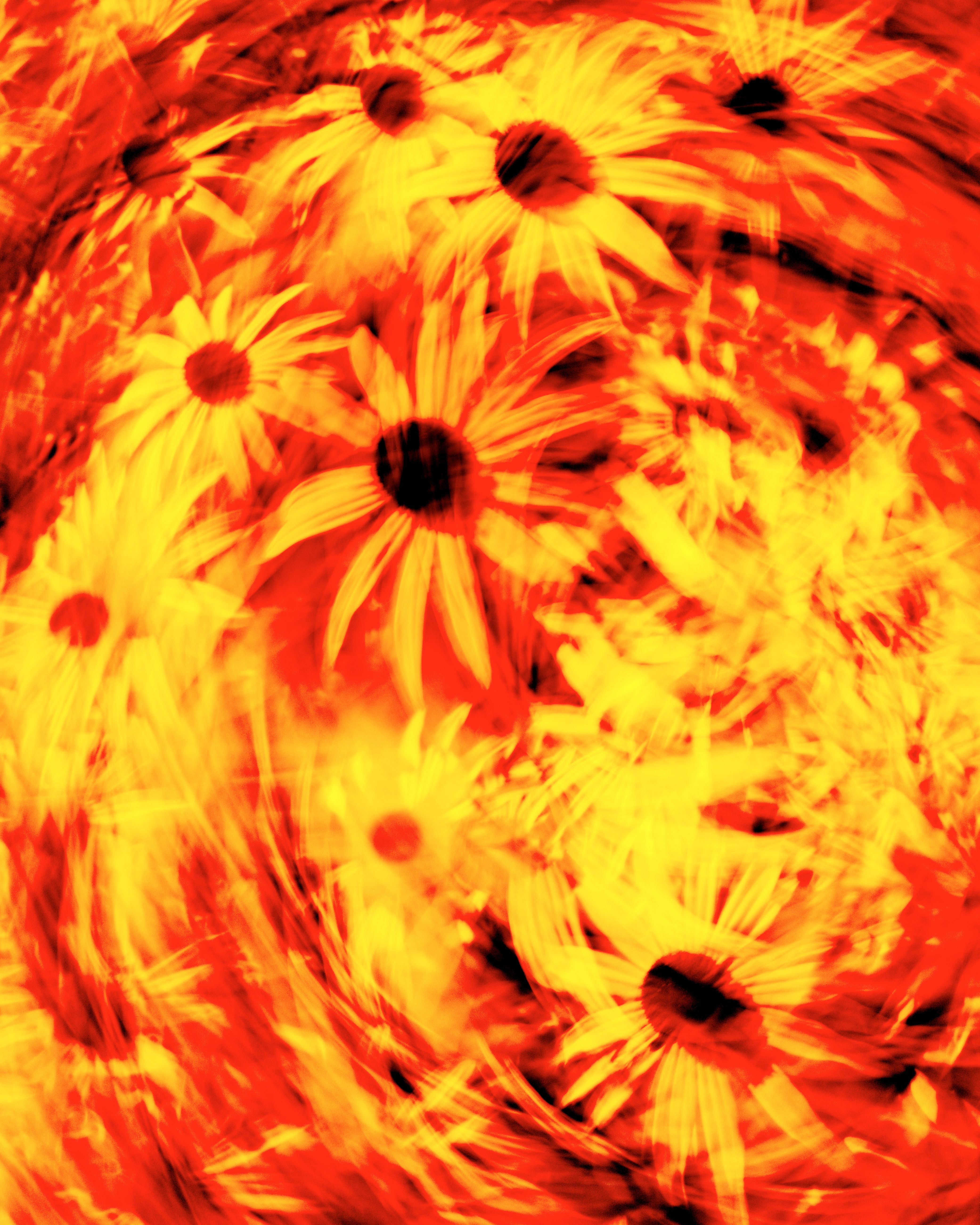 Bright and dynamic abstract floral pattern with swirling yellow and orange flowers.