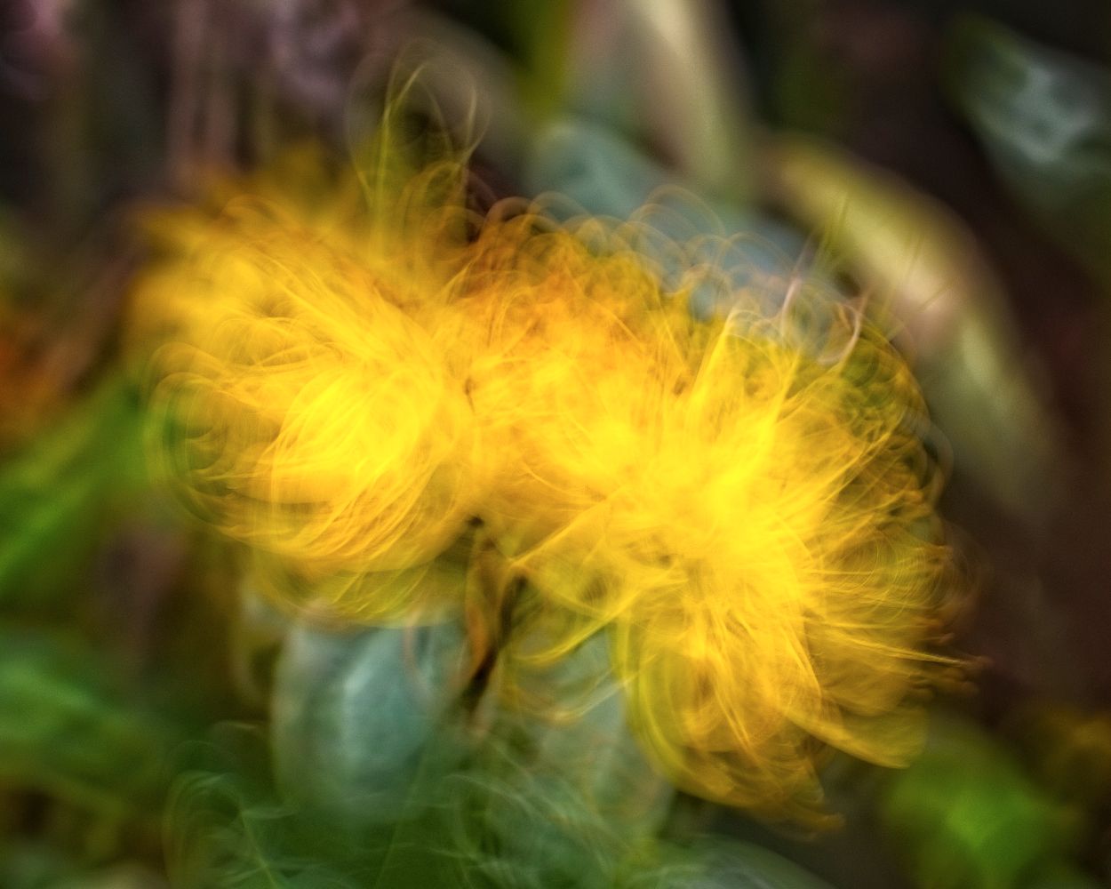 Fantasy Flower Photos, Download The BEST Free Fantasy Flower Stock ...