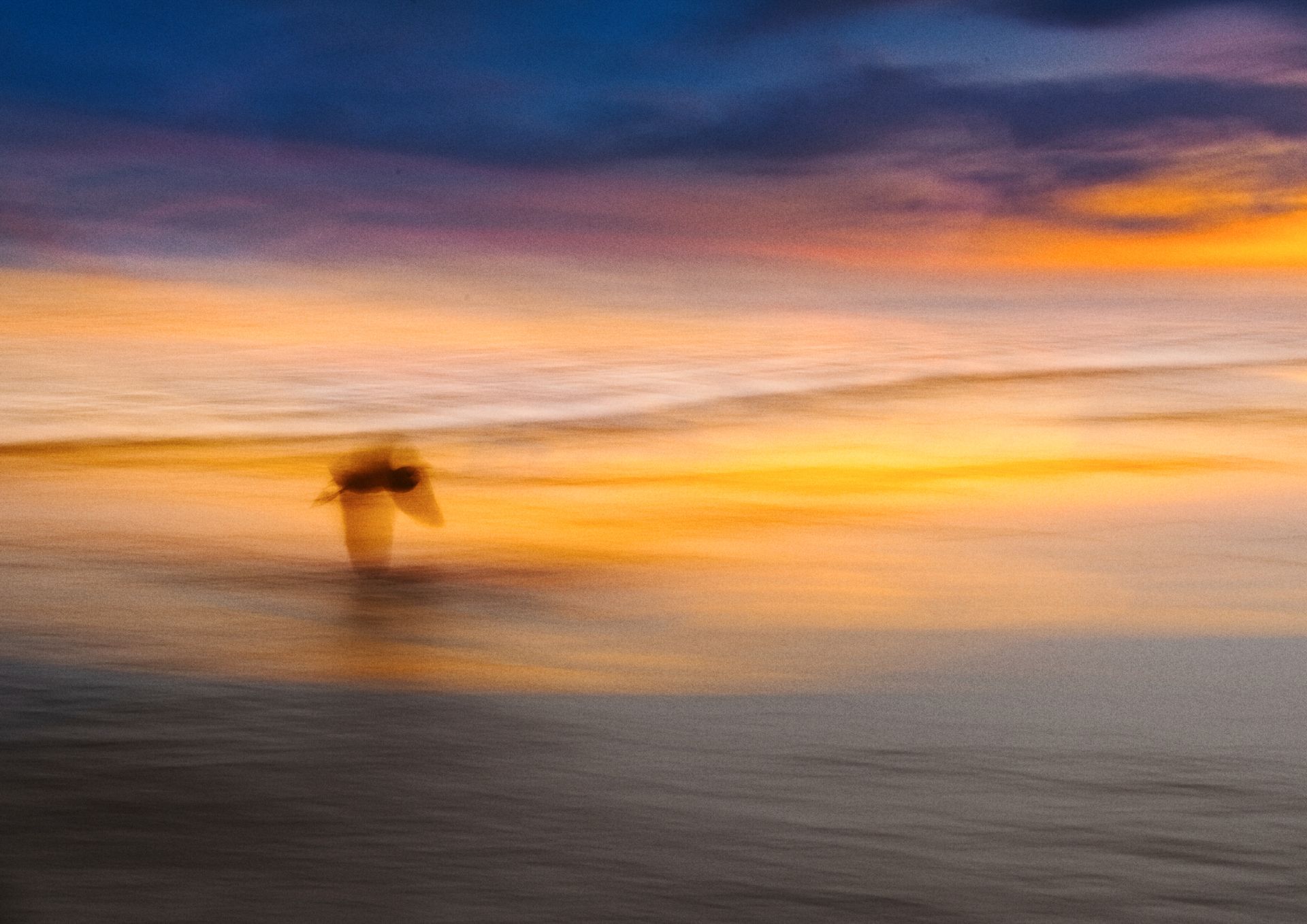 A bird in flight captured with motion blur against a vibrant sunset seascape, showcasing dynamic ethereal beauty.