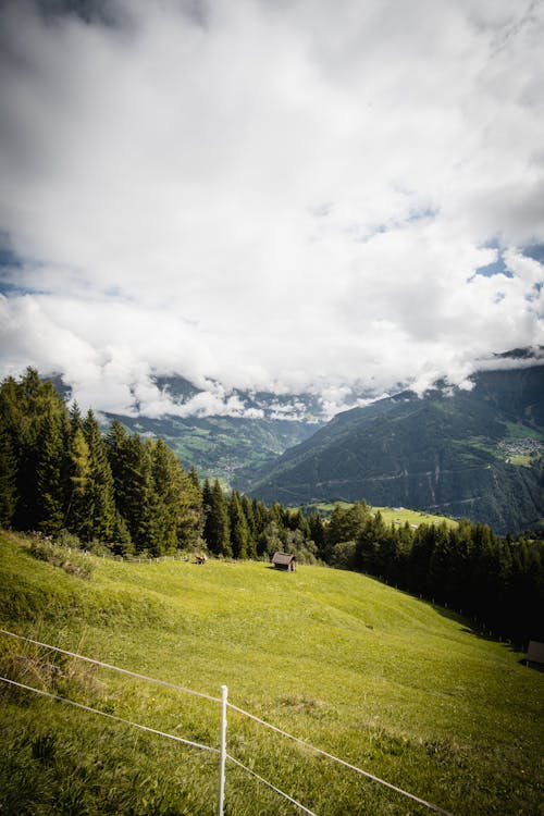 Gratis stockfoto met Alpen, berg, bomen