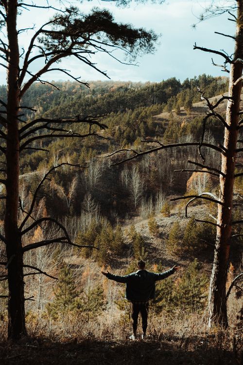 Free A silhouette of a man with outstretched arms facing a beautiful forest in daylight. Stock Photo