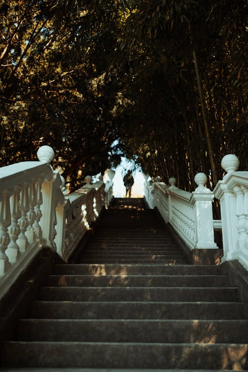 A man walking down a set of stairs in a park
