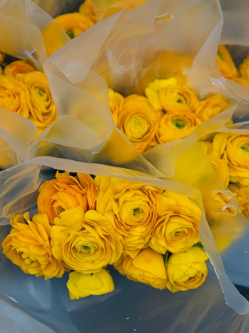 Gratis stockfoto met boeketten, gele bloemen, goederen