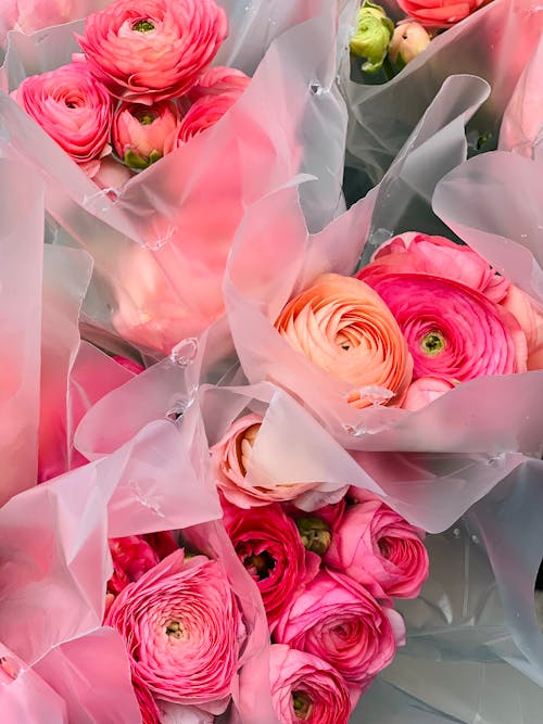 A bunch of pink and orange flowers wrapped in plastic