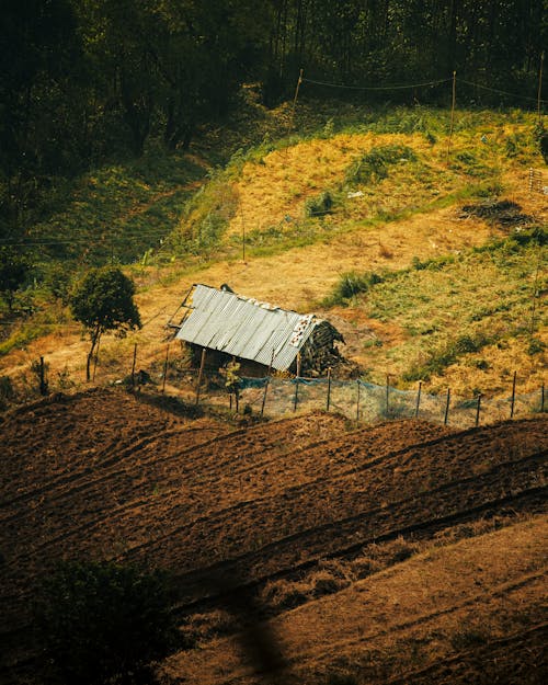 Foto stok gratis agrikultura, bidang, bukit