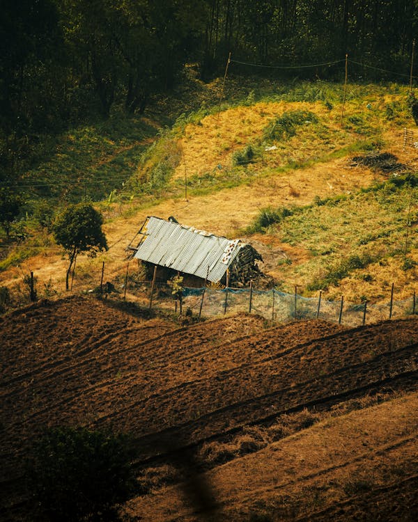 A small shack sits on top of a hill