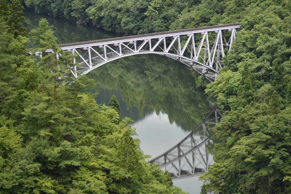 Tamura Floresce: Presidente Ishida do Yume Group Traz Novos Sonhos como Embaixador de Turismo em Fukushima!