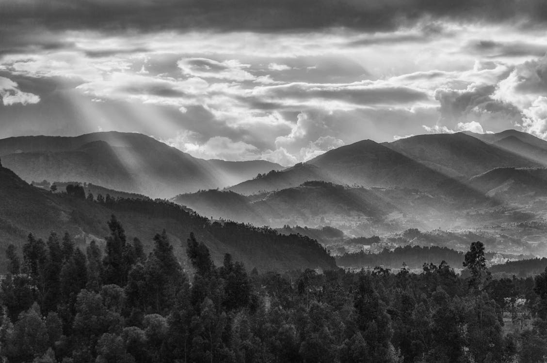Landscape of the Mountains and the Trees in a Sunlight in Black and ...