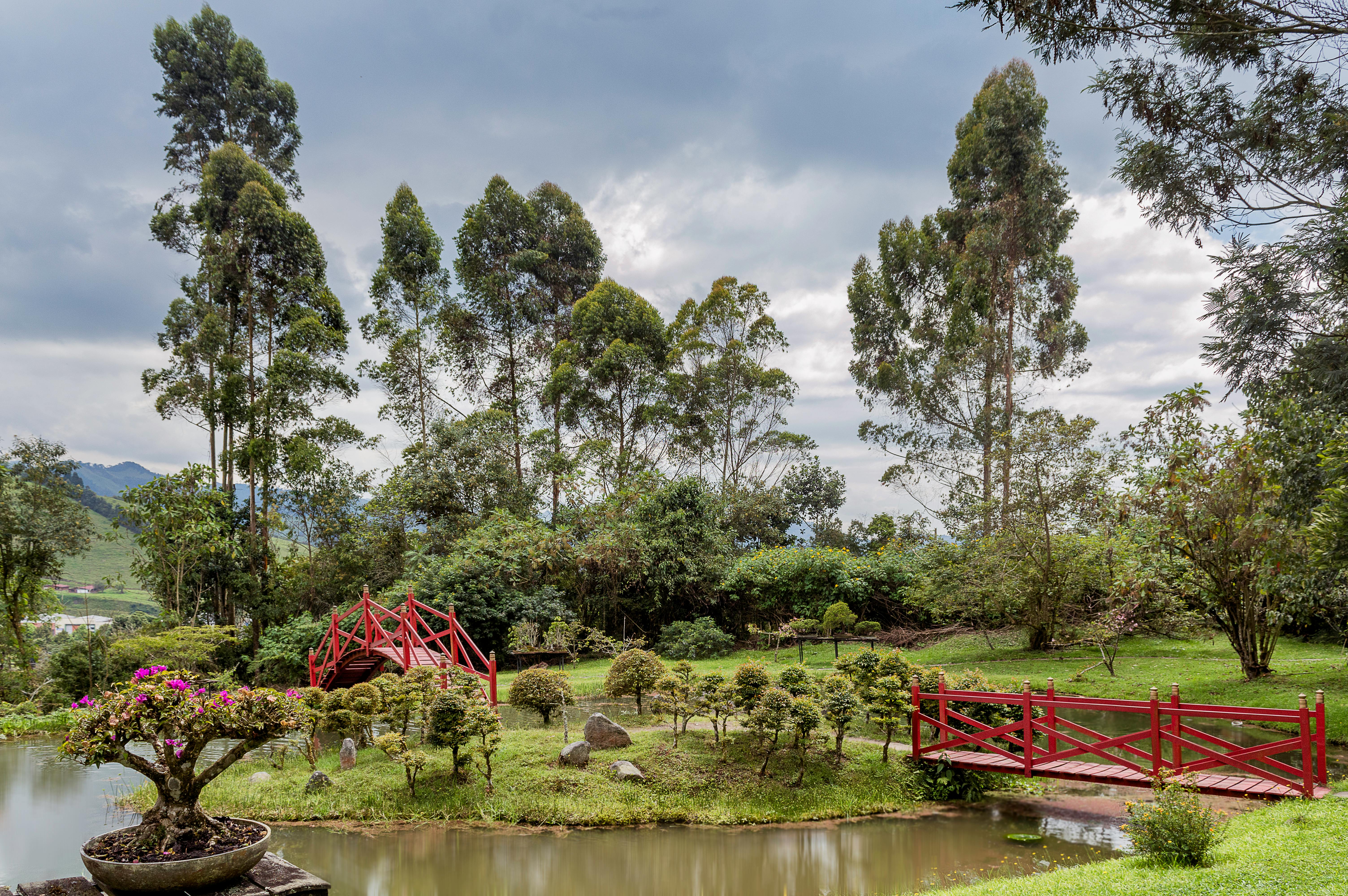 caldas novas dicas de viagem