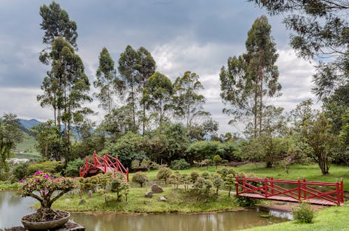 公園, 哥倫比亞, 夏天 的 免費圖庫相片