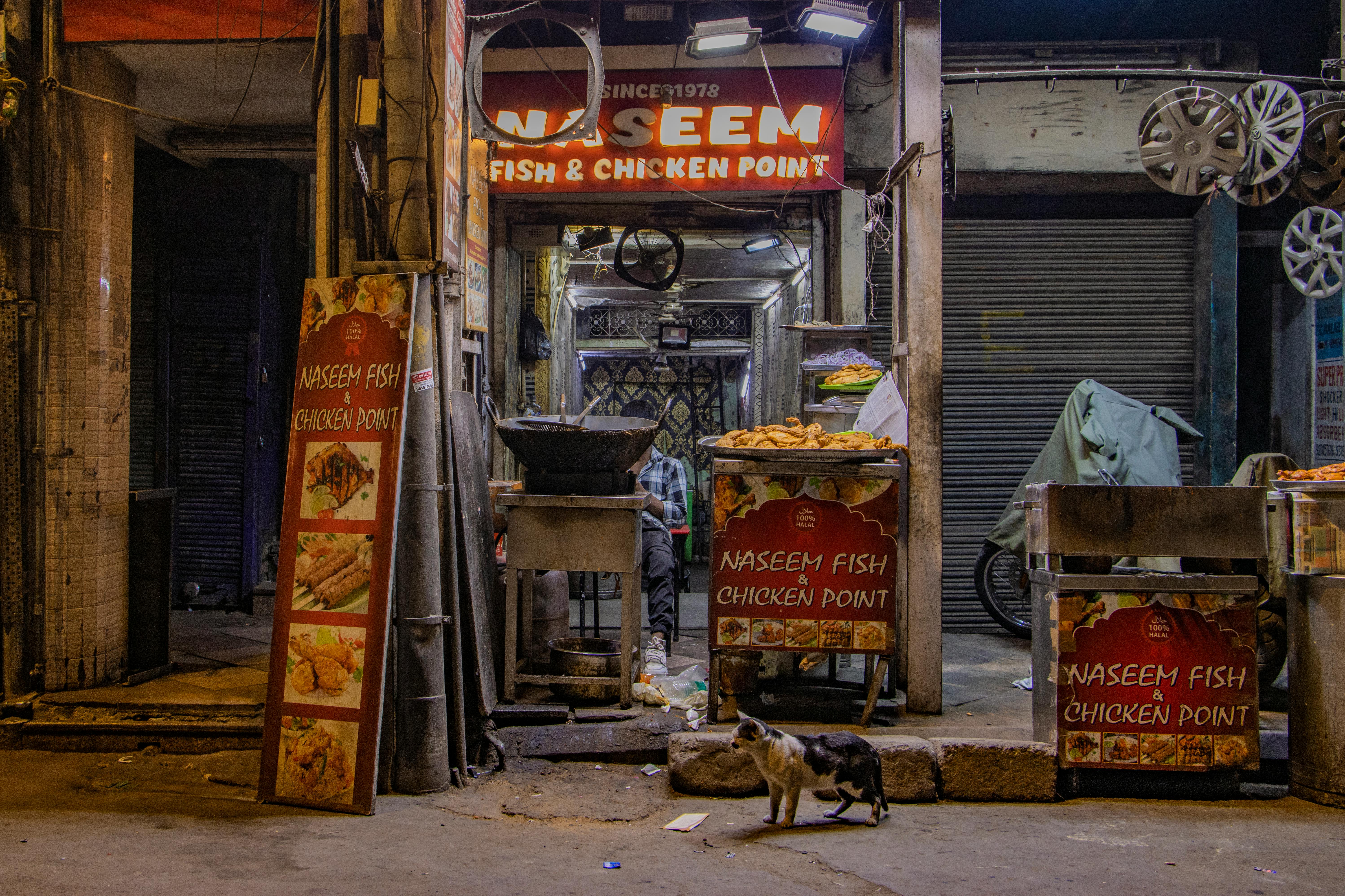 Free Night scene of a food stall in Old Delhi showing a street cat and vibrant signs. Stock Photo
