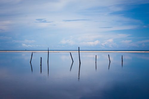 Free Calm seashore with wooden posts and reflective water at Dhanushkodi Beach, India. Stock Photo