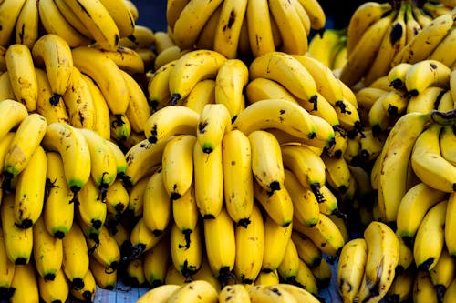 Gratis stockfoto met bananen, exotisch, fruit