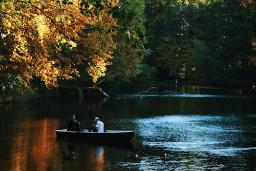 人, 公園, 划艇 的 免费素材图片