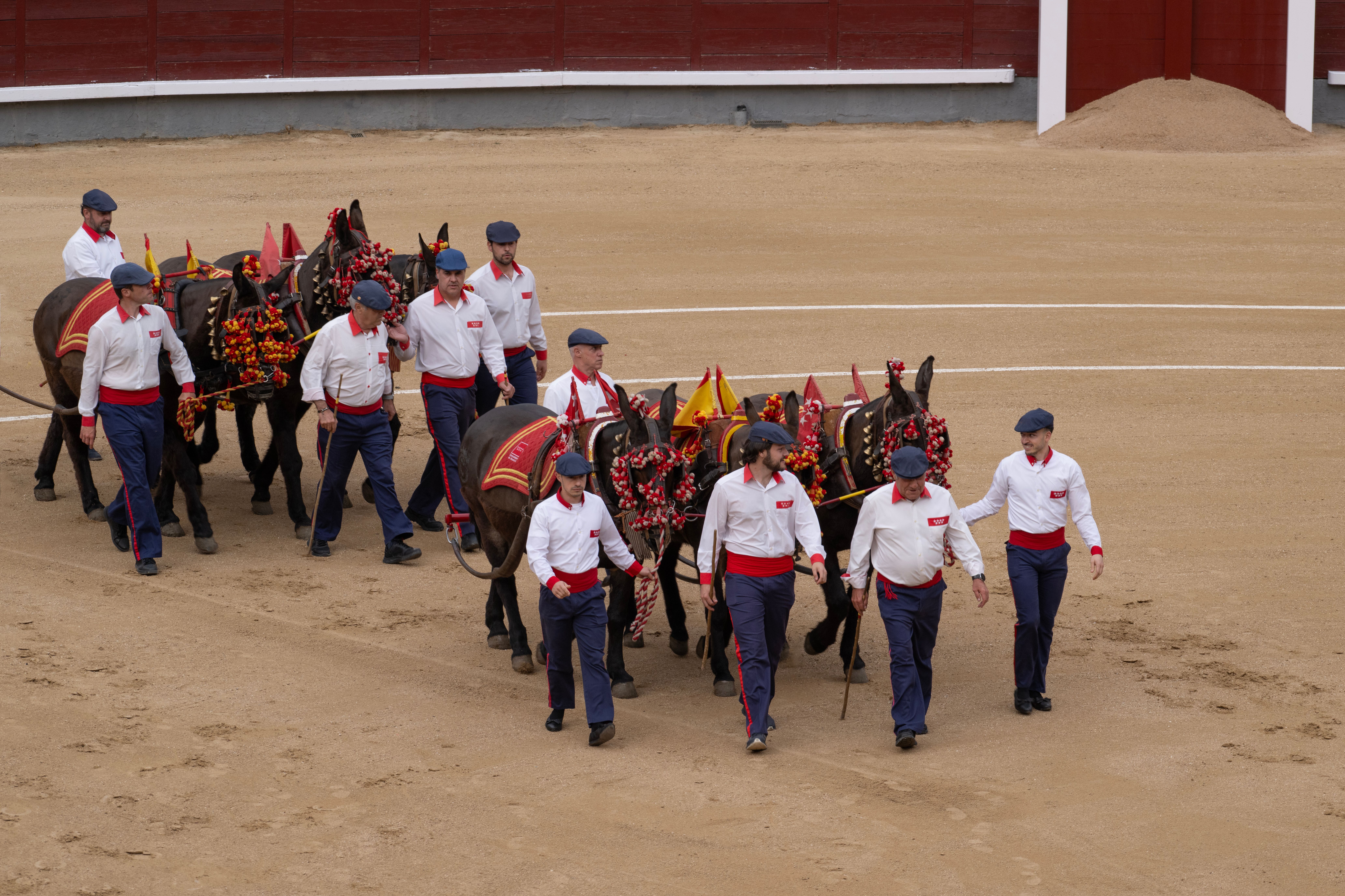 Men in White Shirts Leading Horses at Bullring · Free Stock Photo