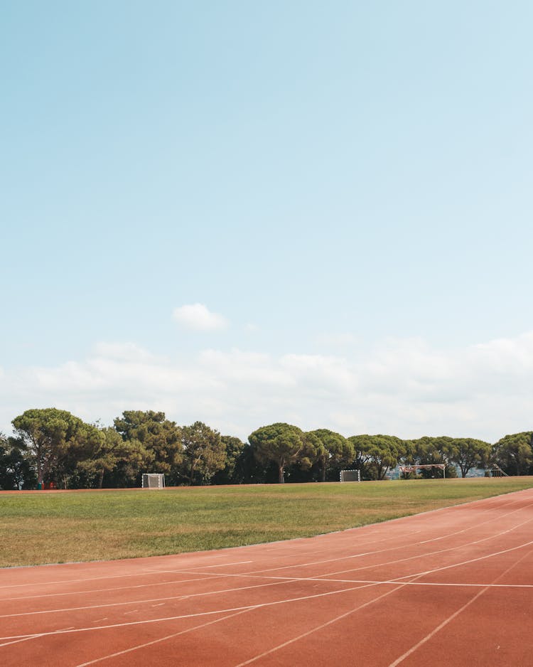 Track And Fields