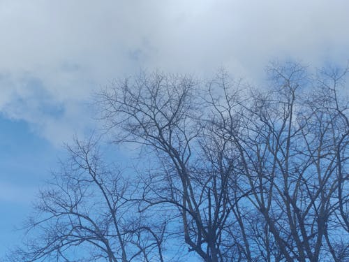 gök arkaplan, gök mavisi, gökyüzü içeren Ücretsiz stok fotoğraf