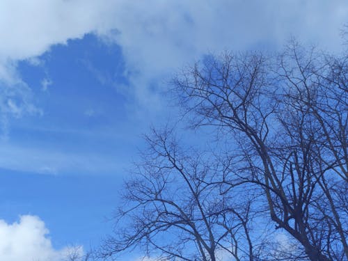 Foto stok gratis ealing, Inggris, langit biru