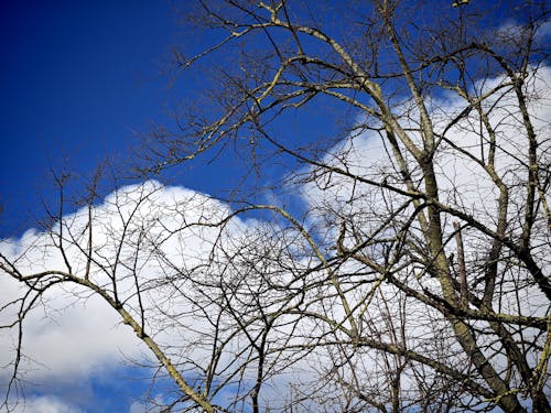 Fotos de stock gratuitas de cielo, cielo azul claro, cielo brillante