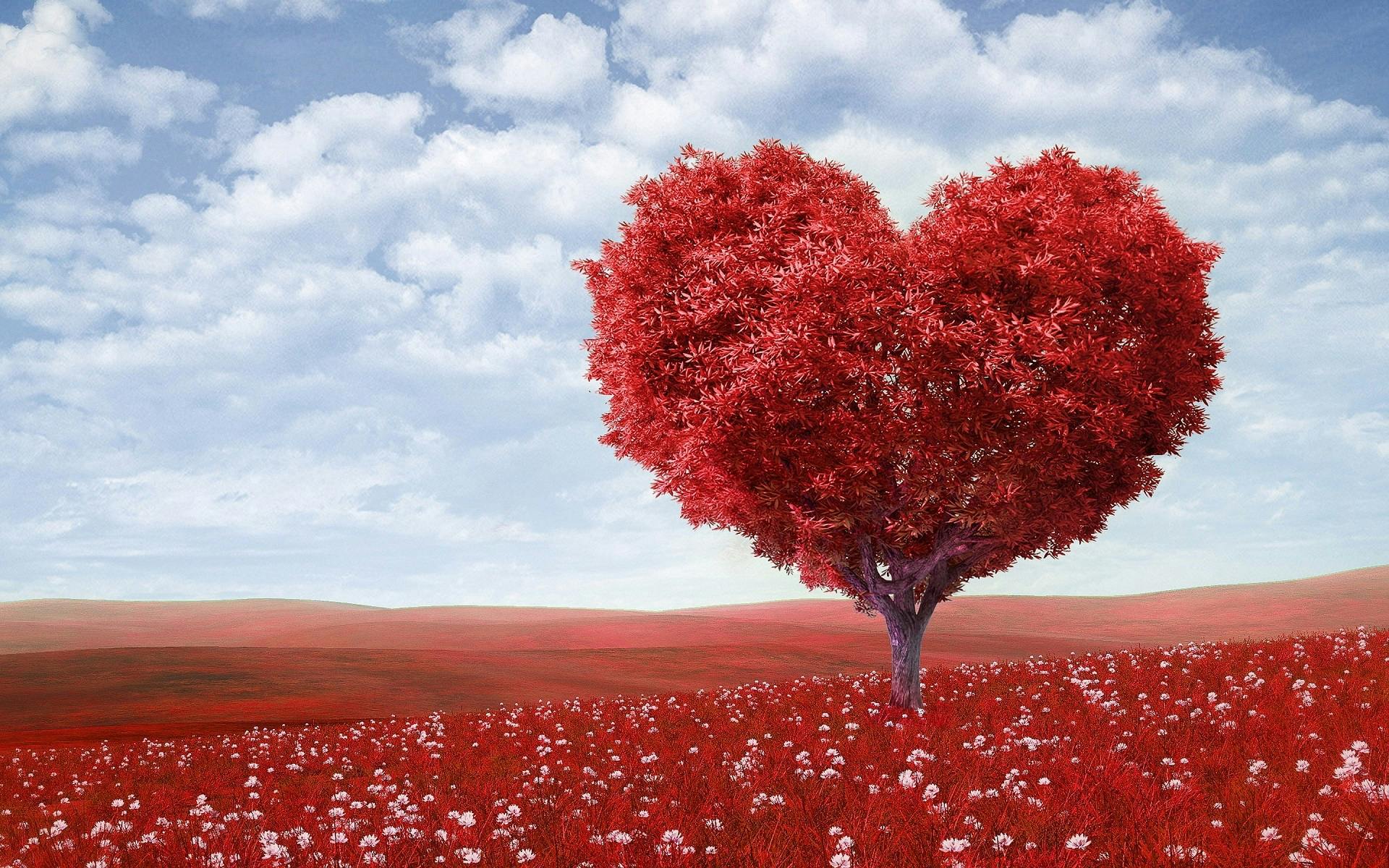 Heart Red Leafed Tree On Red Field Free Stock Photo