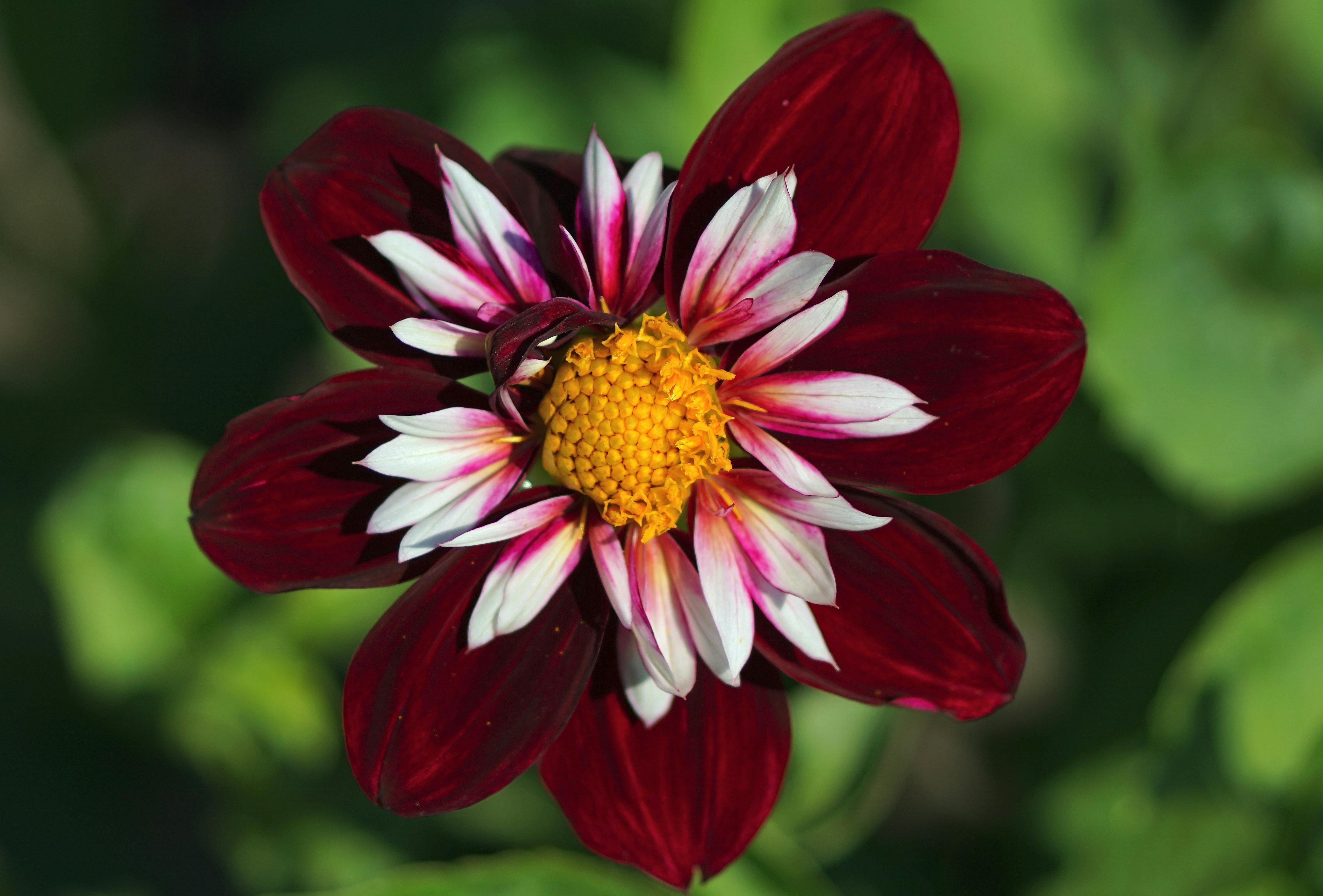 Chuyến bay chuyển tiếp