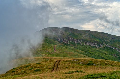 Ingyenes stockfotó domb, felhő, legelő témában