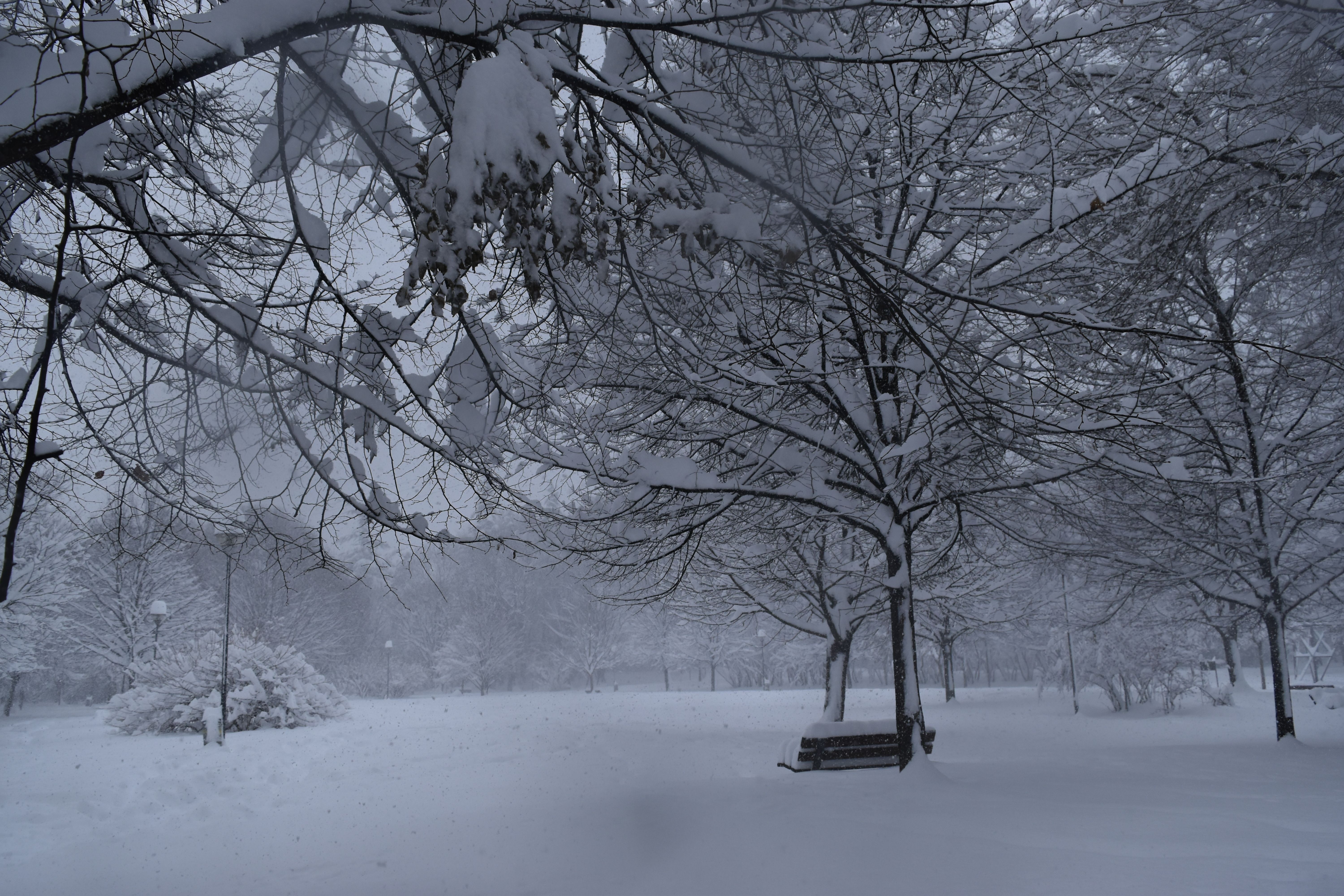 2026 Farmer Almanac Winter Forecast: Prepare Now for Record Snowfall and Extreme Cold!
