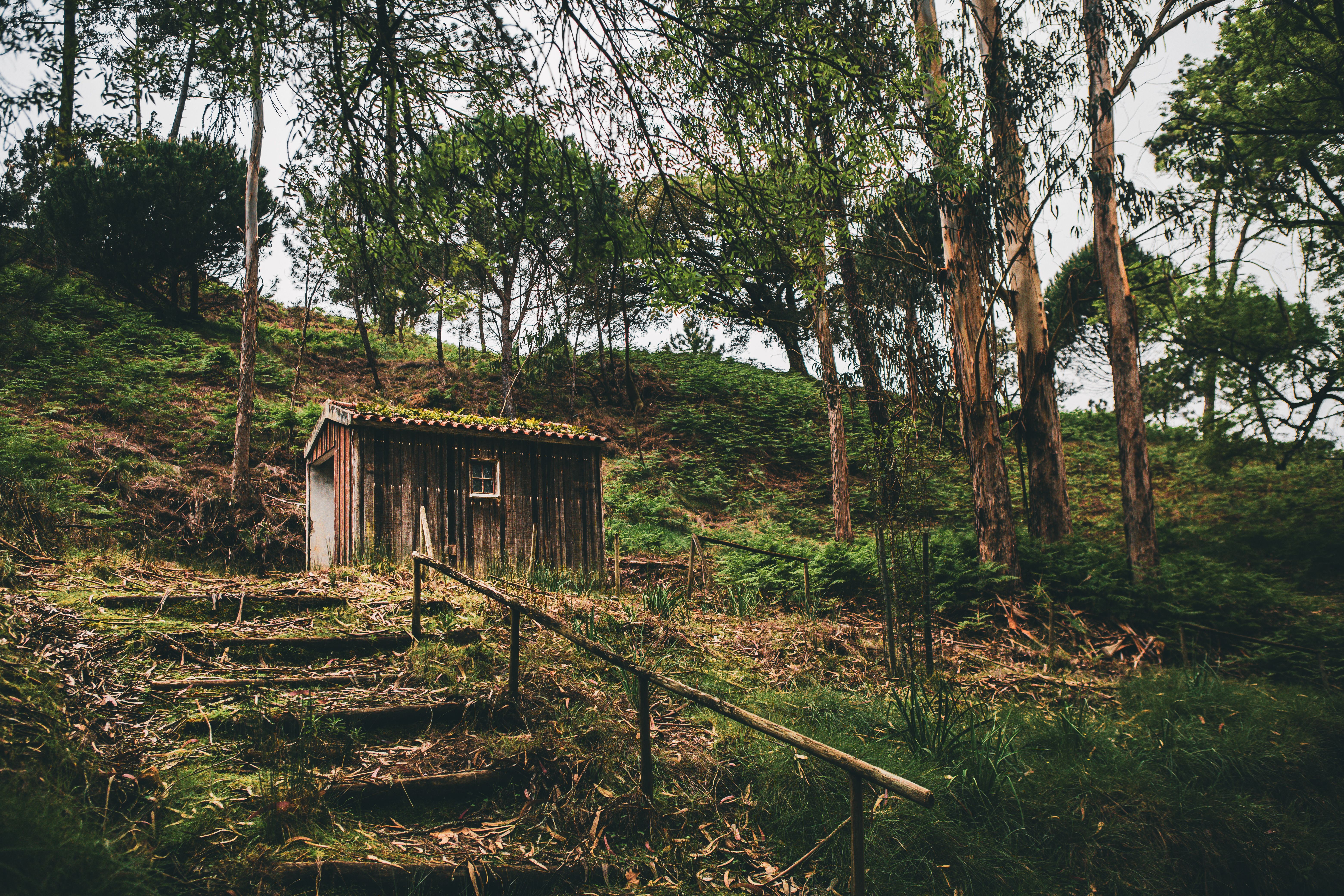 5 Day Reiki Level 1 Training Retreat in Melo, Portugal 3