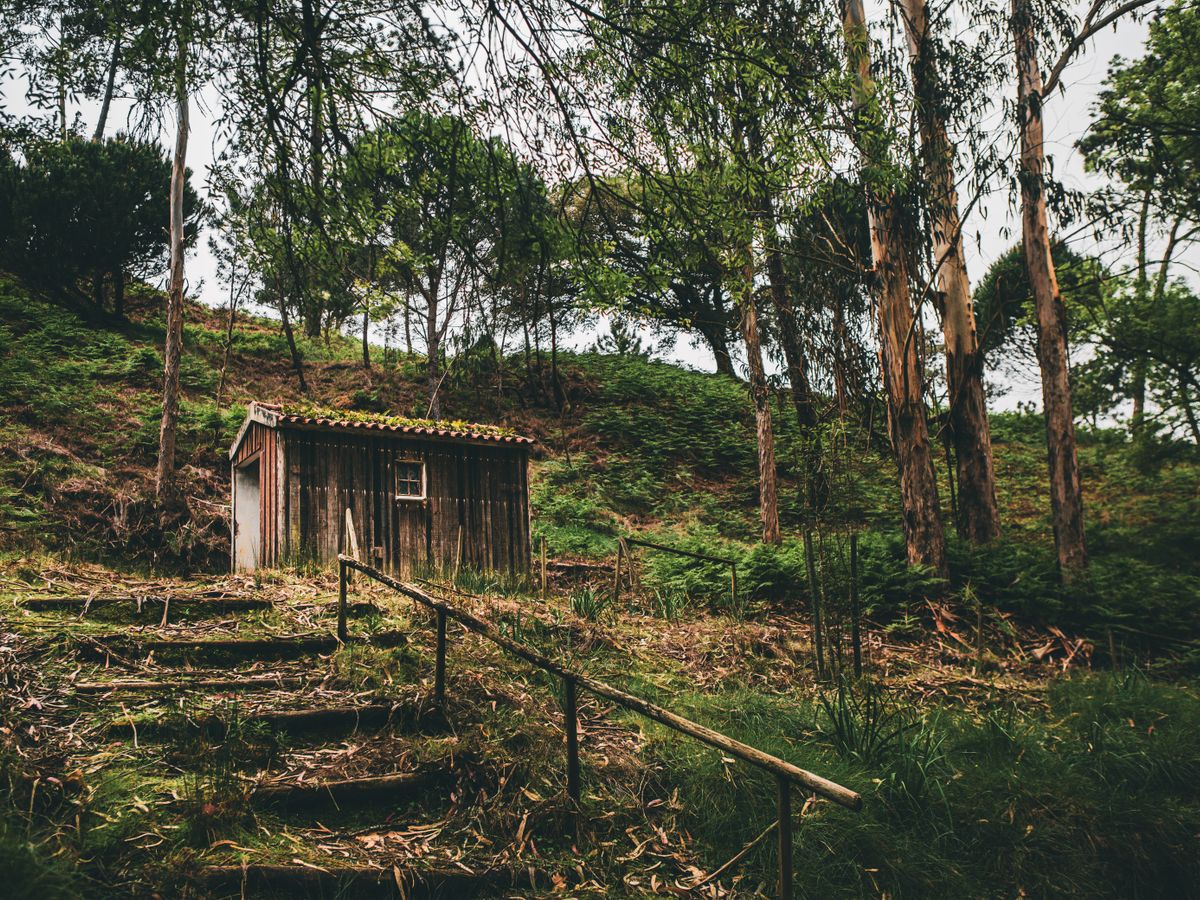 5 Day Reiki Level 1 Training Retreat in Melo, Portugal 3