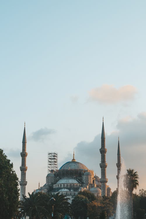 Moschea Di Cemento Vicino Alberi A Foglia Verde