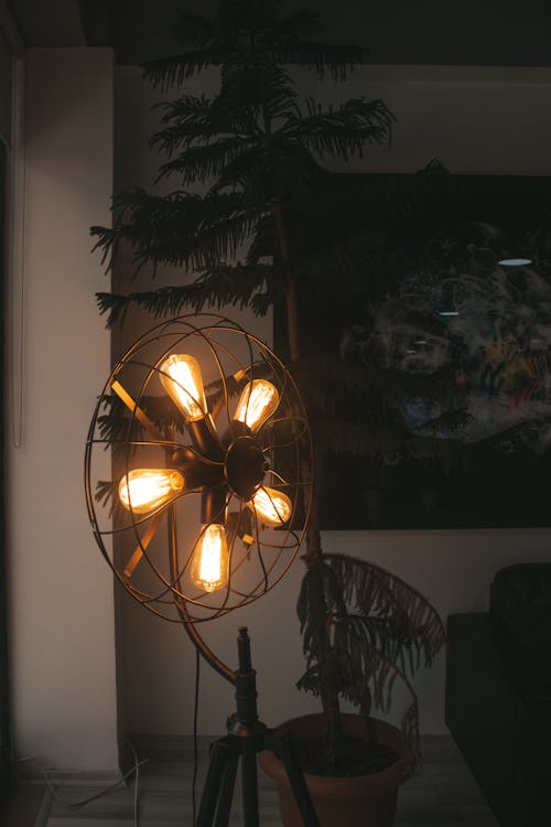무료 방 내부 소나무 옆에 조명이있는 부채꼴 플로어 램프 스톡 사진
