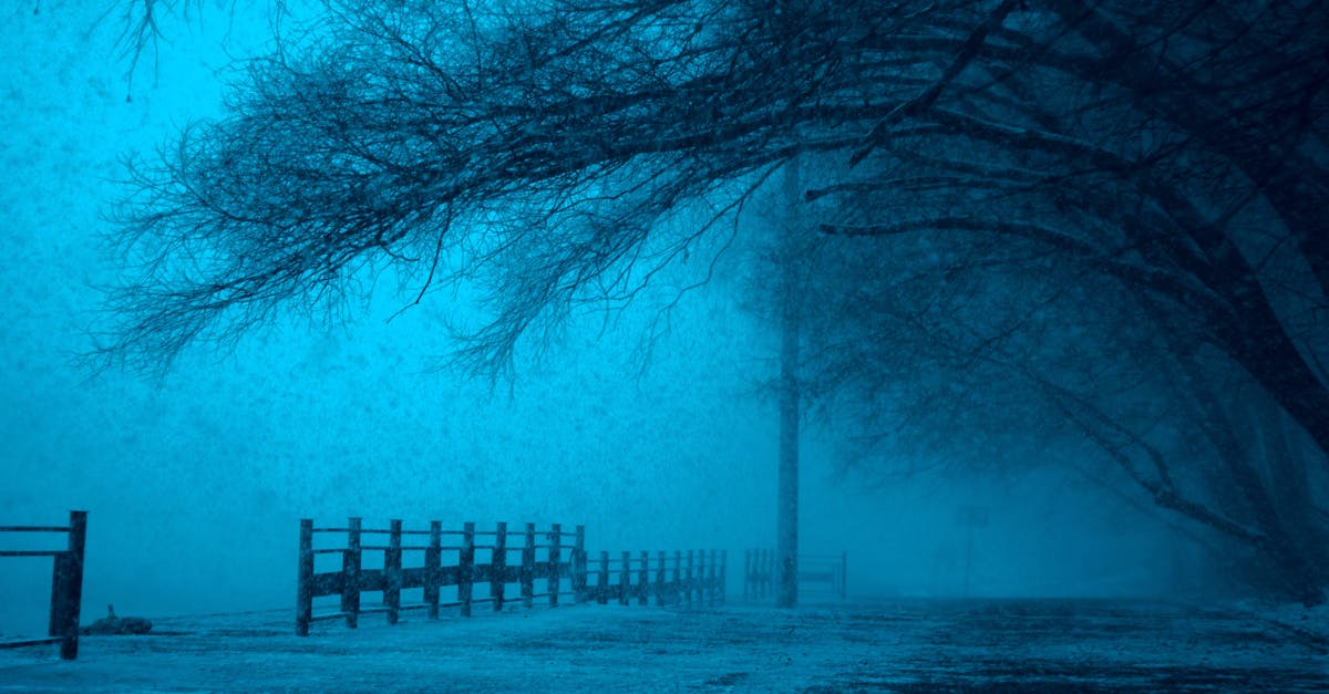 有片 2025 TRE 台北國際成人展消暑大作戰 剉冰甜蜜登場 櫻空桃火辣鋼管舞秀 河北彩伽轉盤冰炫襲台