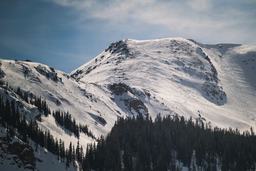 Free Breathtaking view of snow-capped mountains and evergreen forests showcasing nature's grandeur. Stock Photo