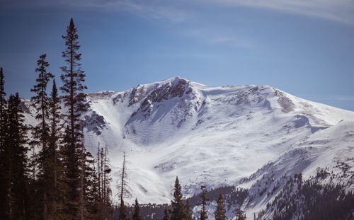 Free Scenic view of snowcapped mountains with pine trees in a winter landscape. Stock Photo