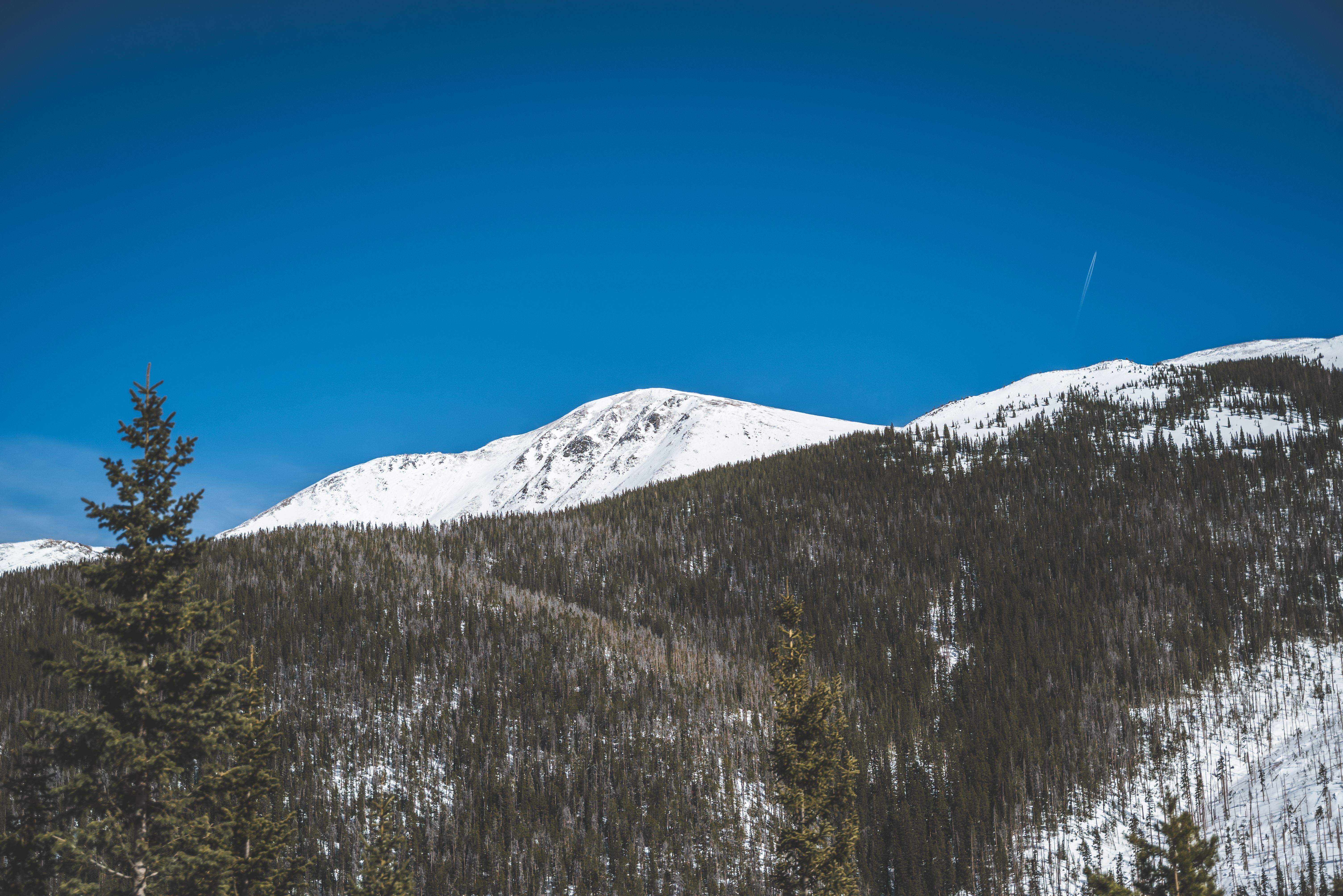 A view of a snowy mountain with trees and snow · Free Stock Photo