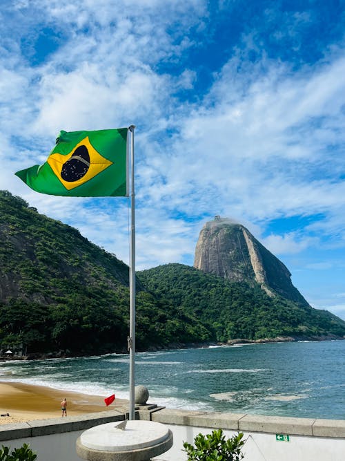 Foto stok gratis bendera, brasil, hutan