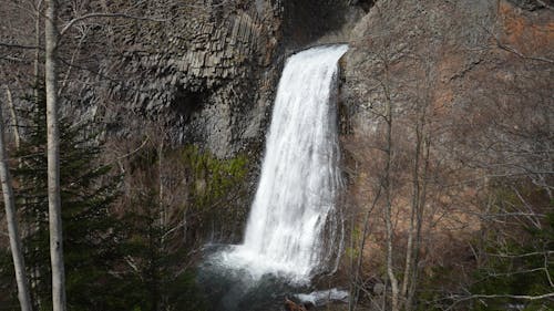 A waterfall is shown in the middle of a forest