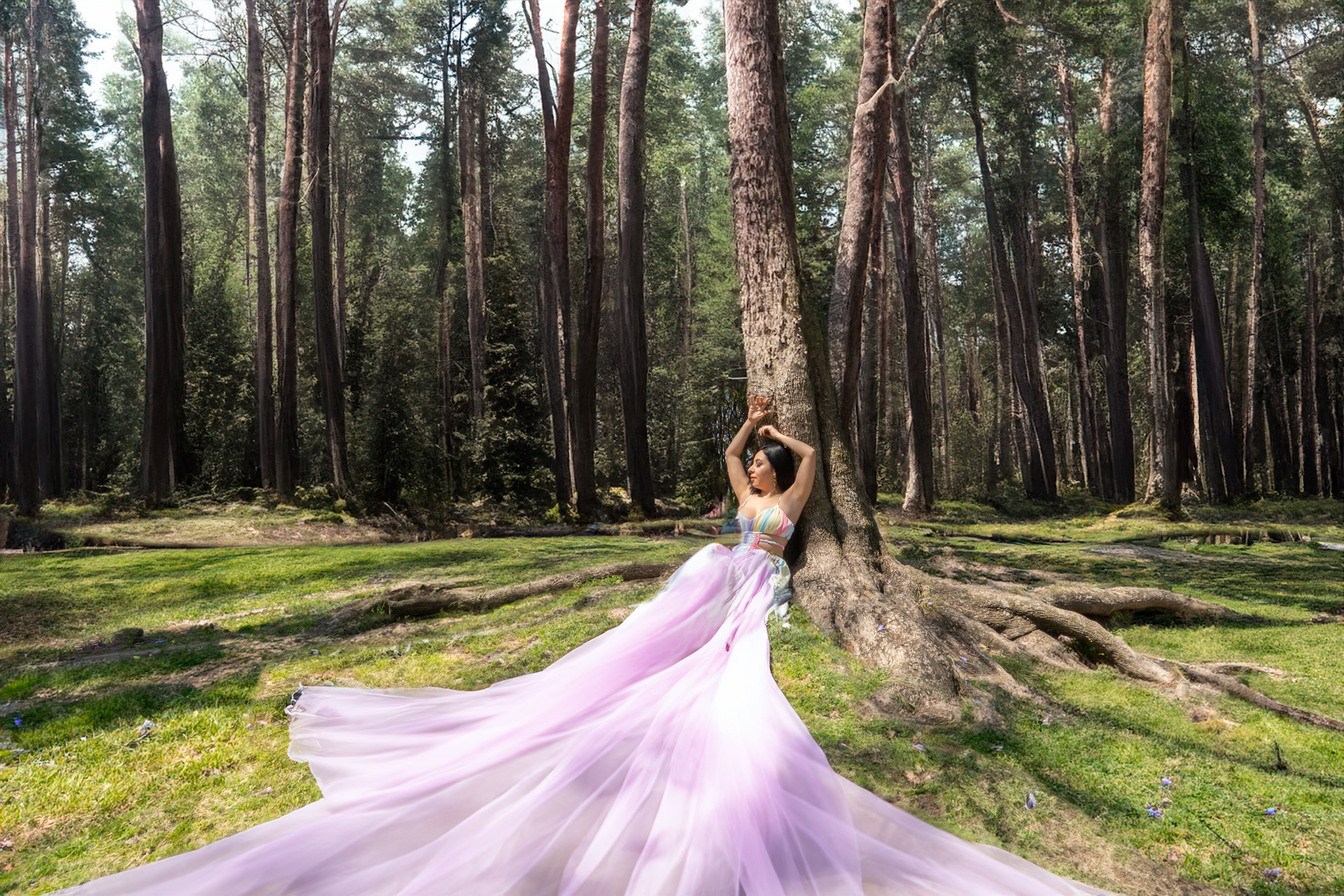 A woman in a long purple dress is standing in the woods · Free Stock Photo