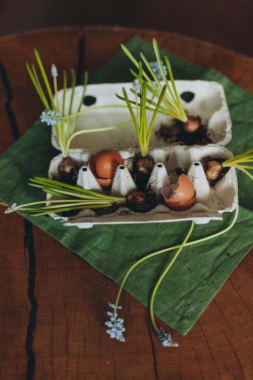 Darmowe zdjęcie z galerii z jajka, muszle, obrus