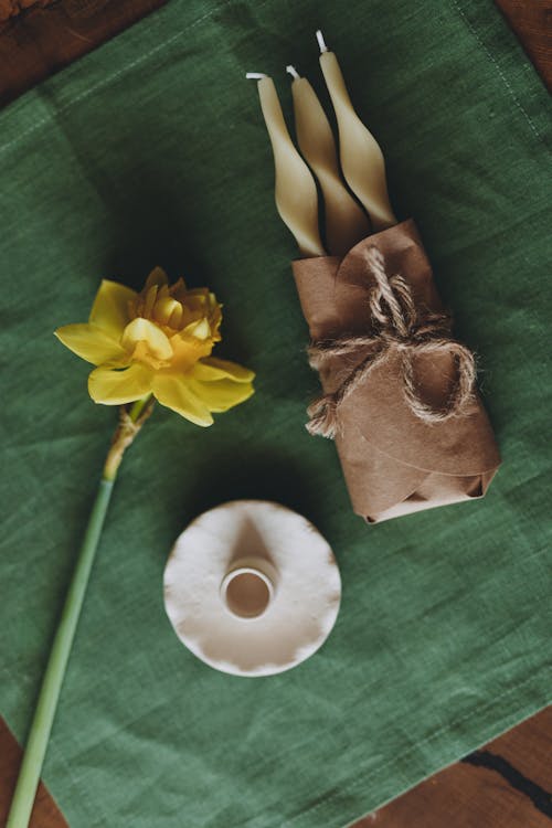 Darmowe zdjęcie z galerii z kwiat, narcyz, obrus