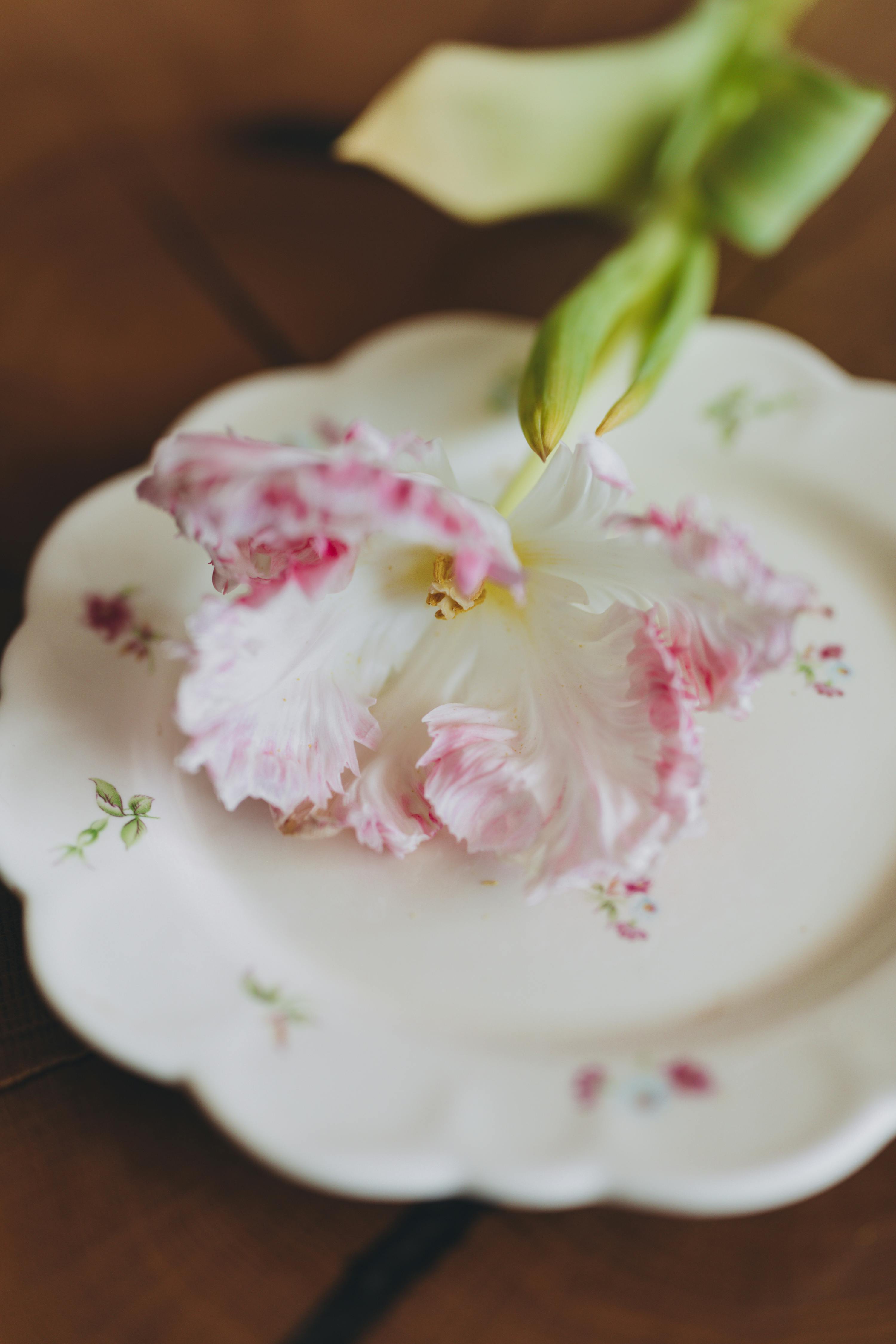 Close-up of a pink flower on a vintage floral plate creating a gentle spring ambiance.