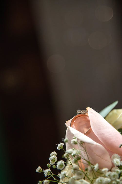 Δωρεάν στοκ φωτογραφιών με hochzeit, γαμήλια τελετή, δαχτυλίδι