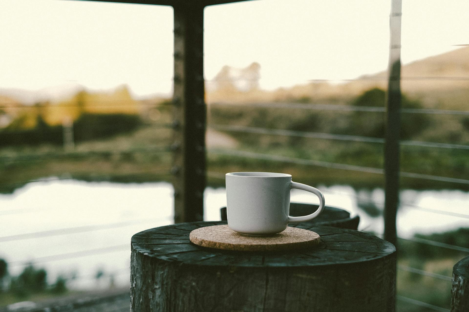A cozy white coffee cup placed on a tray atop a tree trunk, overlooking a peaceful river scene.