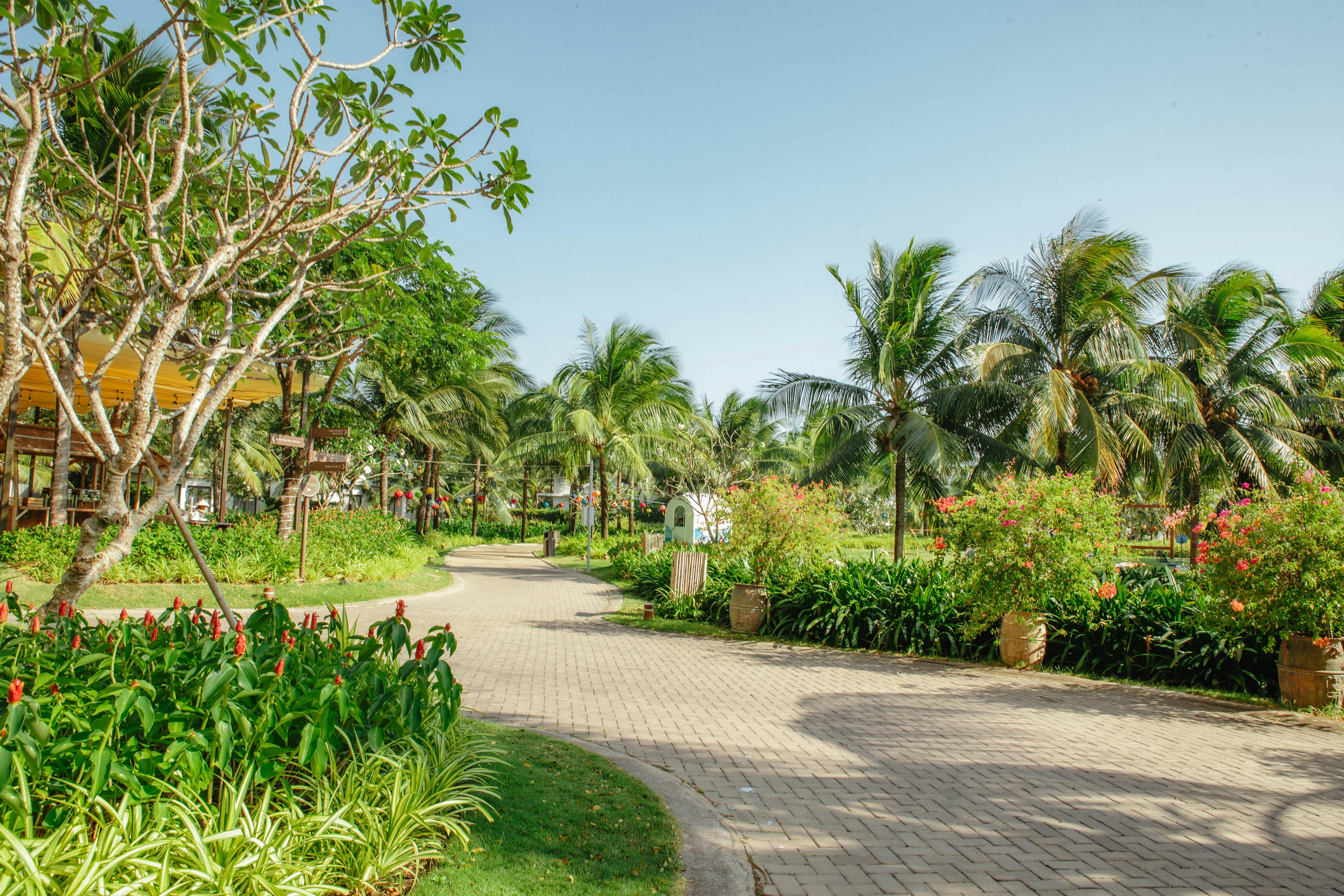 common paving and landscaping mistakes to avoid
