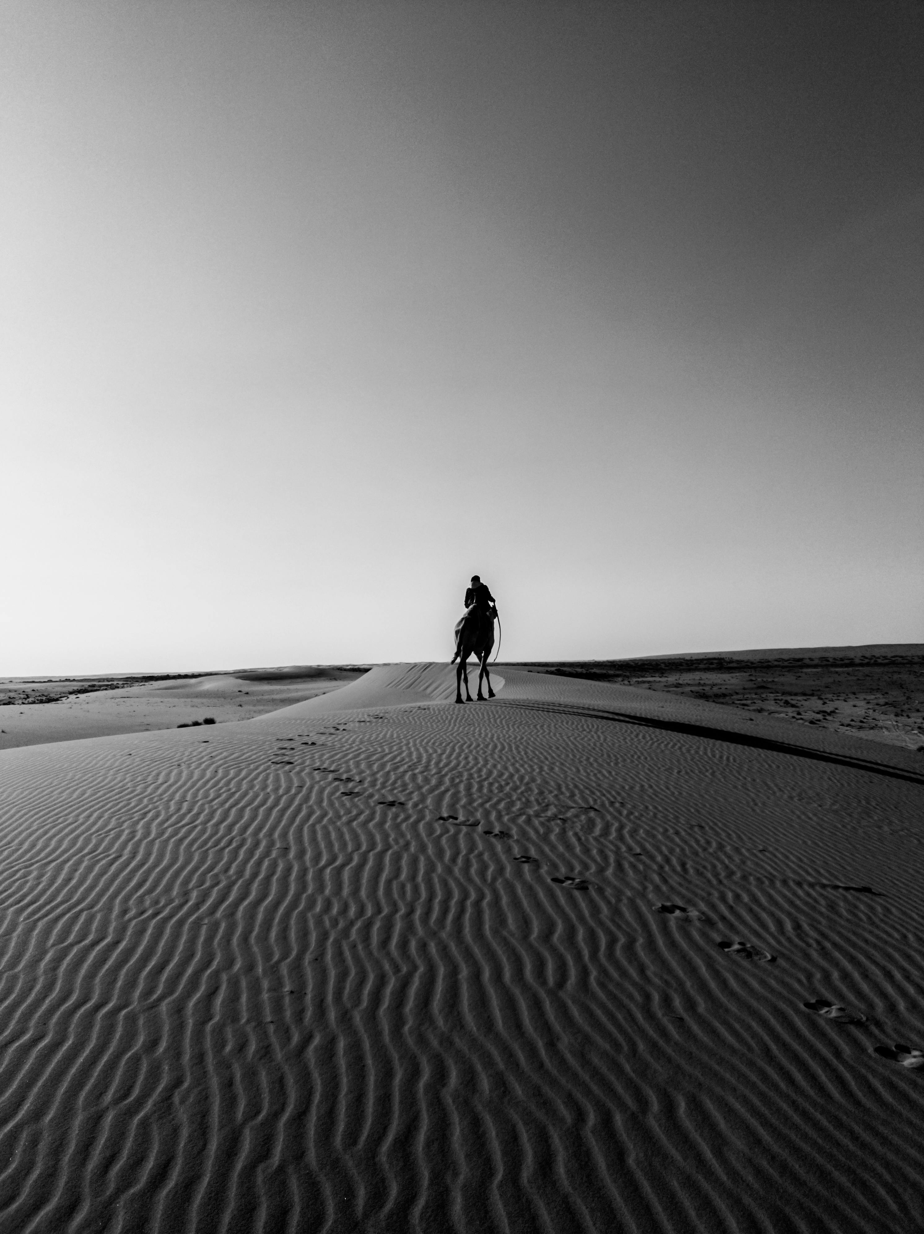 Silhouetted camel and rider traverse serene desert dunes in black and white.