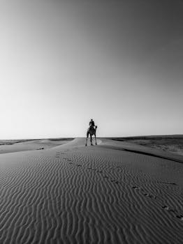 A person riding a camel in a vast desert landscape under a clear sky, in black and white.
