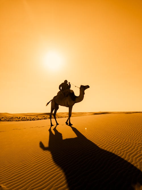 A man riding a camel in the desert at sunset